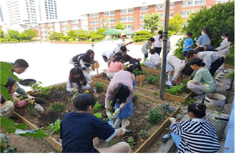 우리 학교 텃밭이 달라졌어요! 부산시,"맞춤형 학교텃밭 컨설팅"추진