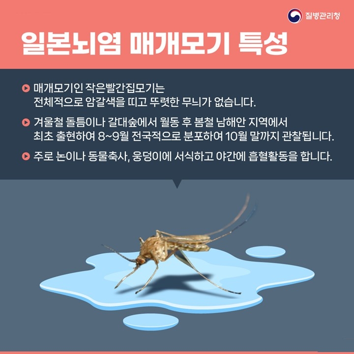 전남도 감염병관리과 관계자가 일본뇌염 예방 홍보물을 통해 도민에게 예방수칙을 안내하고 있다.