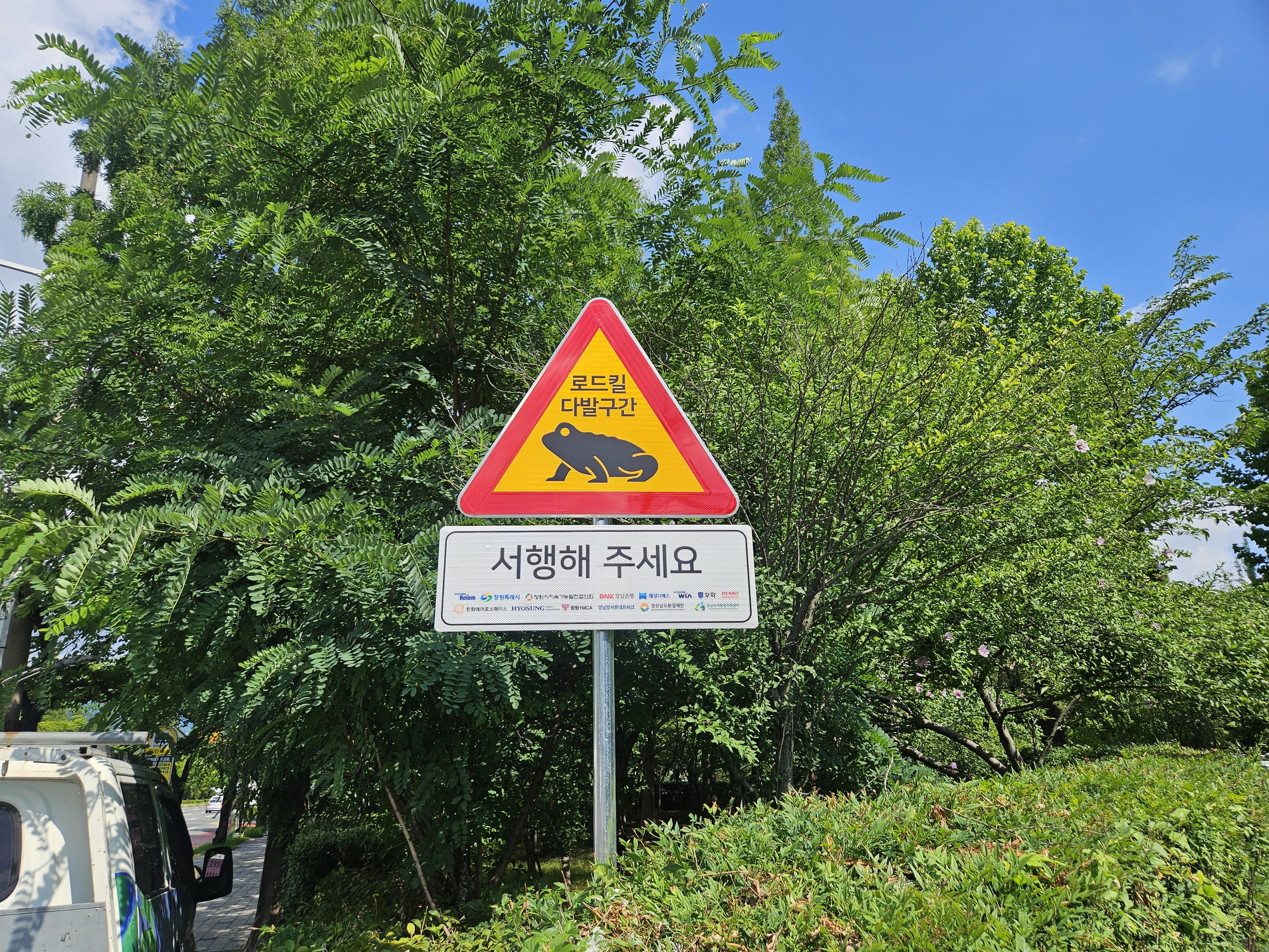 창원특례시,‘두꺼비 로드킬 예방 표지판’ 설치