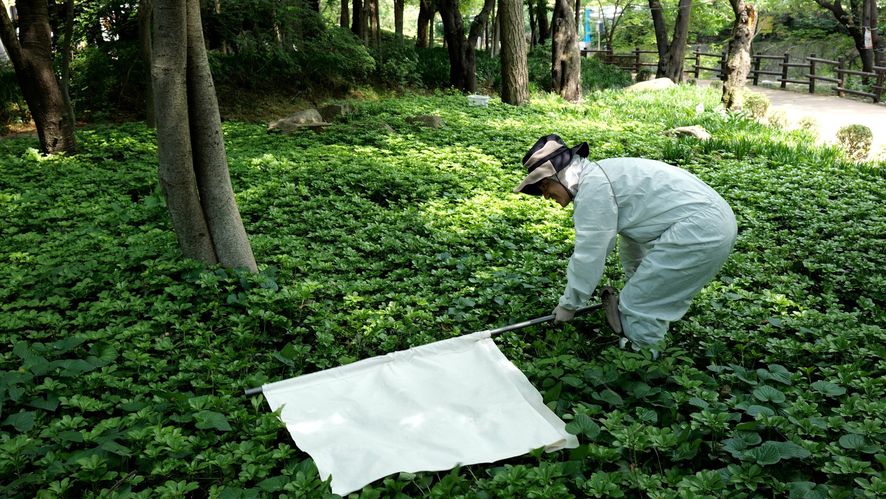 서울시, 가을 나들이철 도심공원 진드기 집중 감시 강화