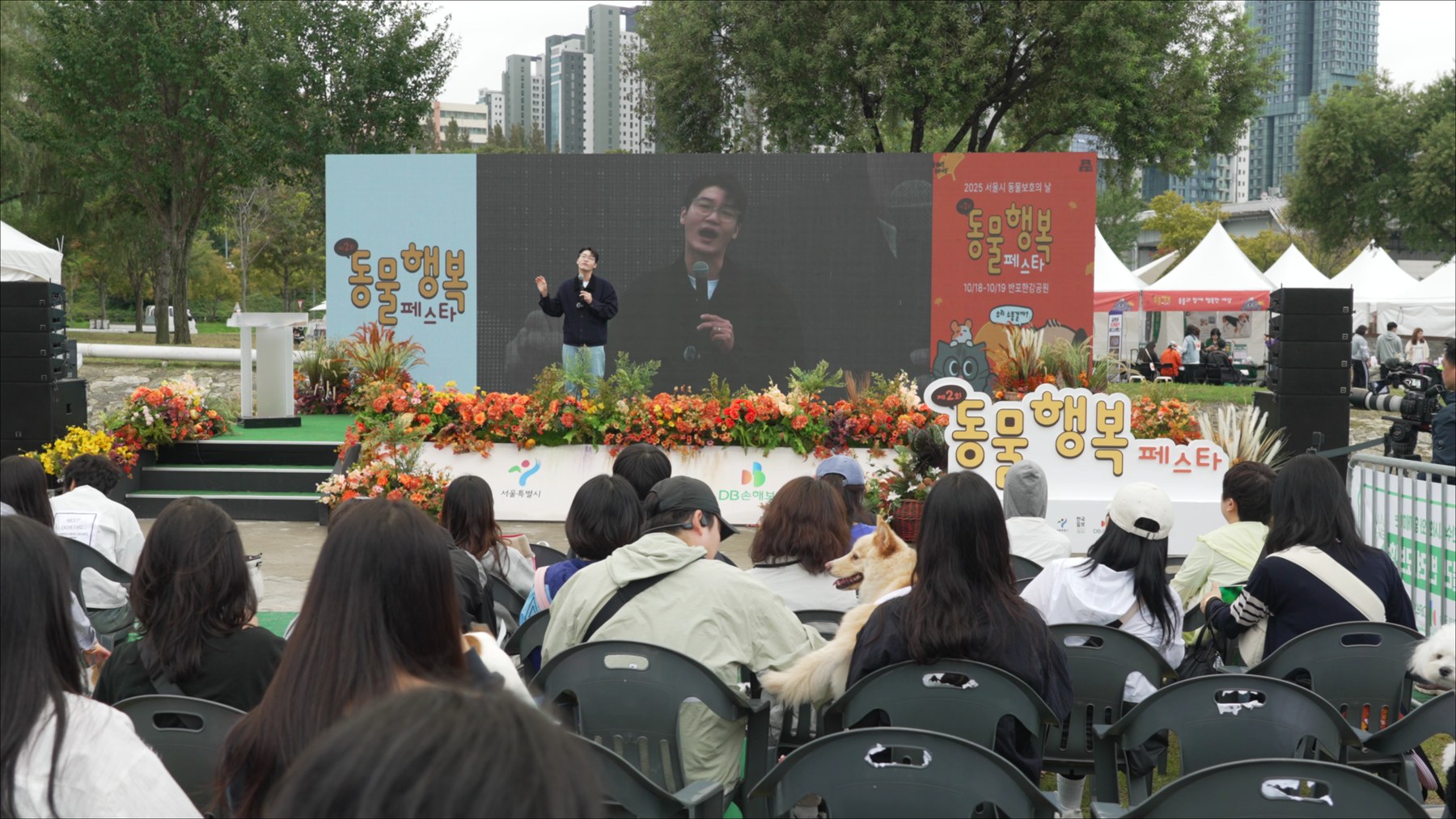 서울시, 동물행복페스타 개최…한강변 산책 500팀 모집