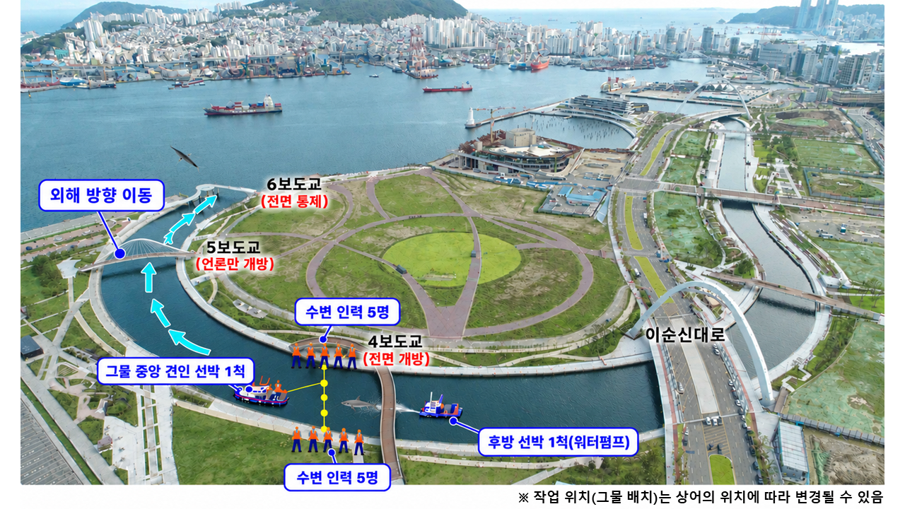 부산시, 10월 2일 상어"부캉이"구출 작전 돌입… 그물망·선박 동원한 후속 구조