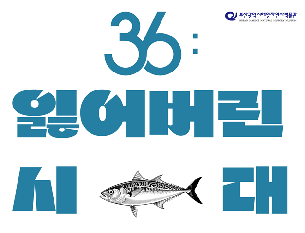 부산해양자연사박물관, 팝업테마전 개최