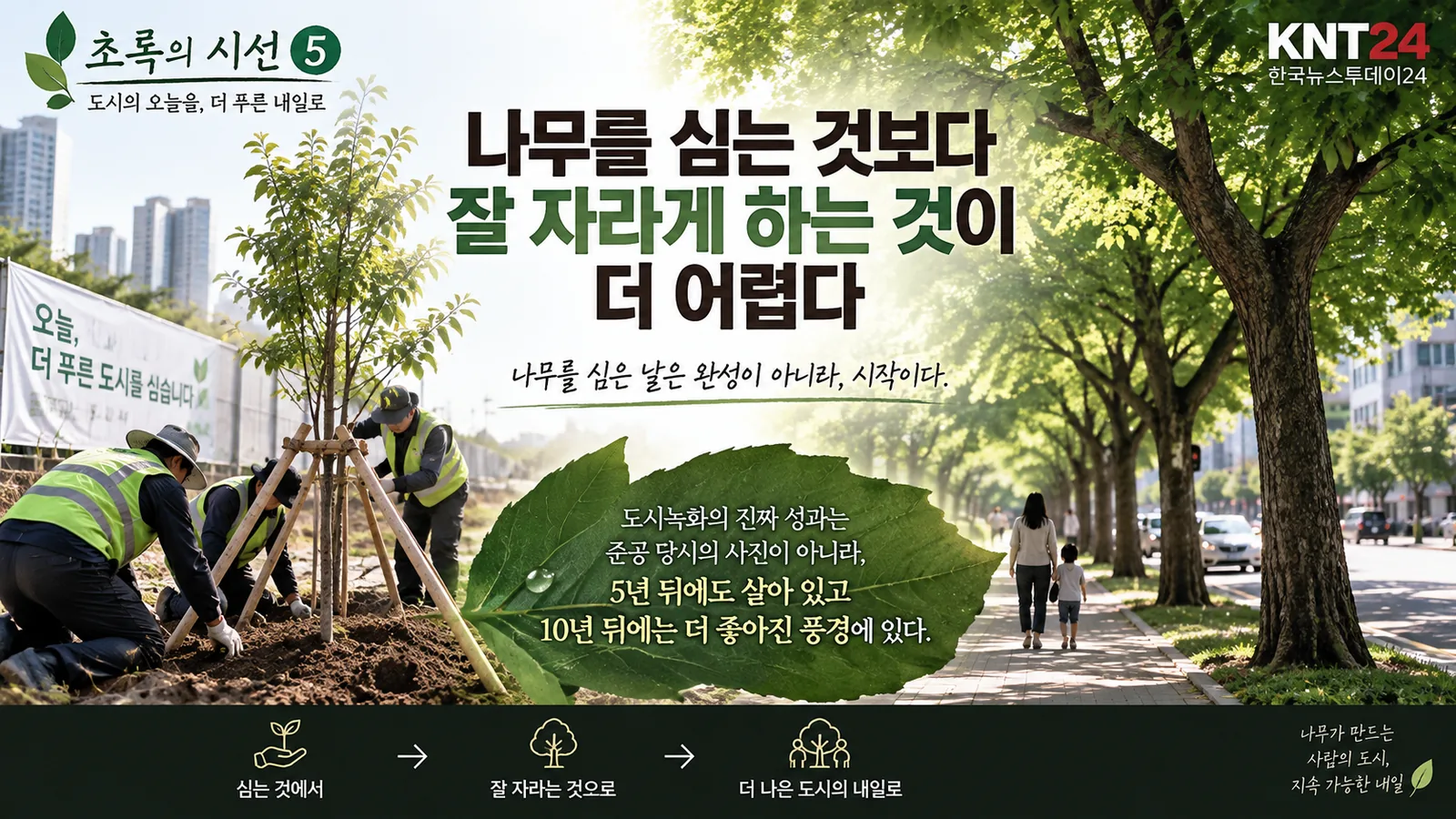 어린 나무를 심는 작업과 수년 뒤 큰 수관과 그늘을 만든 가로수를 대비해 보여주는 ‘초록의 시선 ⑤’ KNT24 대표이미지