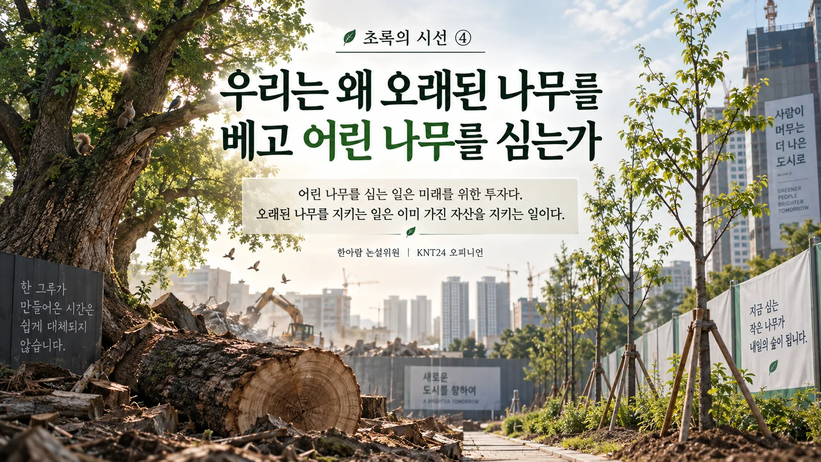 개발현장에서 오래된 큰 나무가 잘리고 어린 나무가 새로 심어진 모습을 대비해 보여주는 ‘초록의 시선 ④’ KNT24 대표이미지