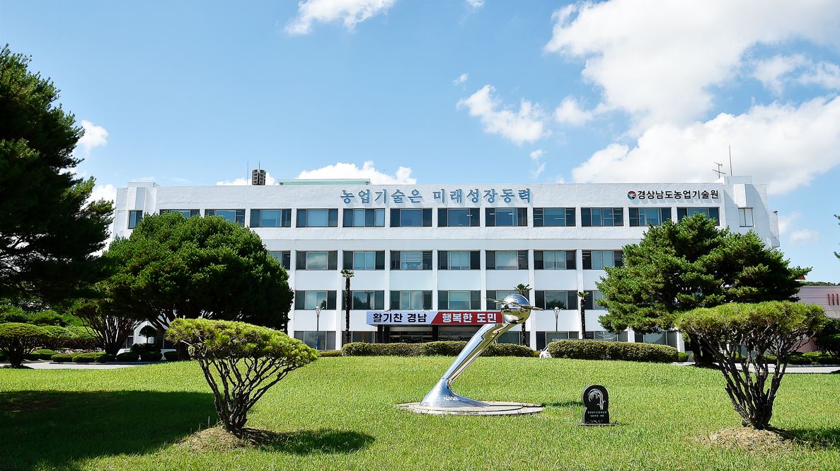 경남도, 벼 병해충 사전예찰 강화... 남해안 5개 시군 집중 점검