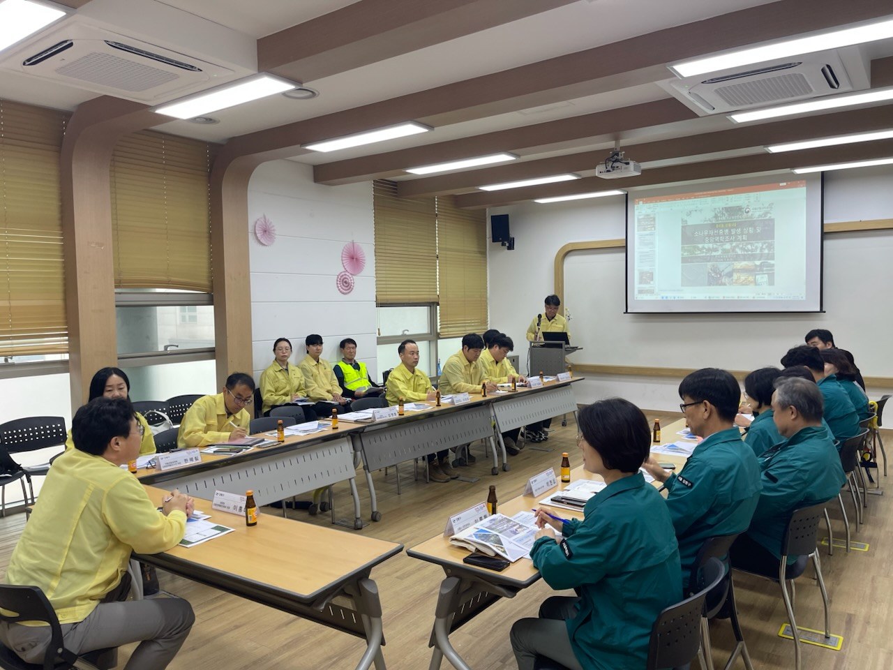 서울시 강동구 소나무재선충병 발생, 확산 차단에 총력 대응