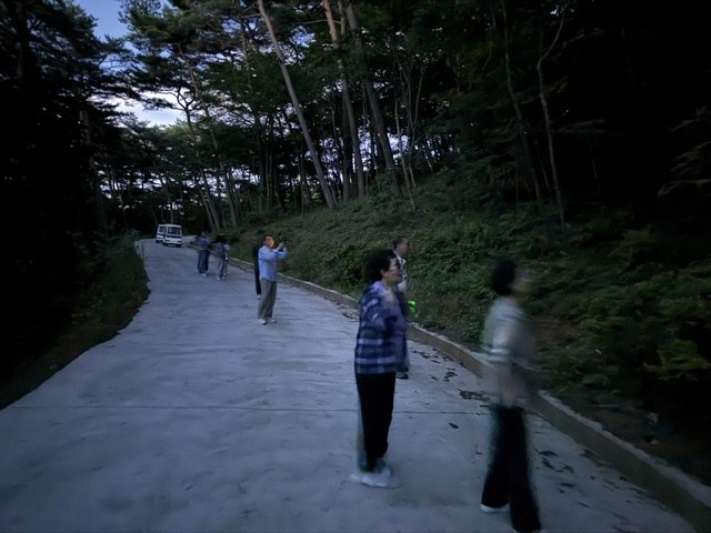 안면도수목원 반딧불이 생태 탐방 ‘성황’