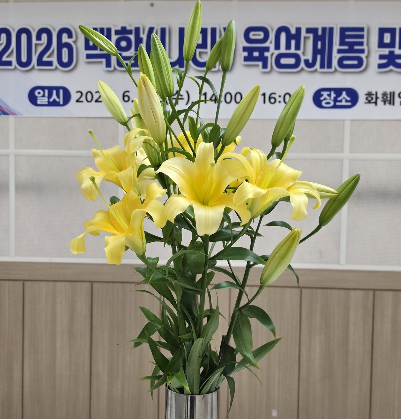 충남 대표 백합 4종 소비자 만나다