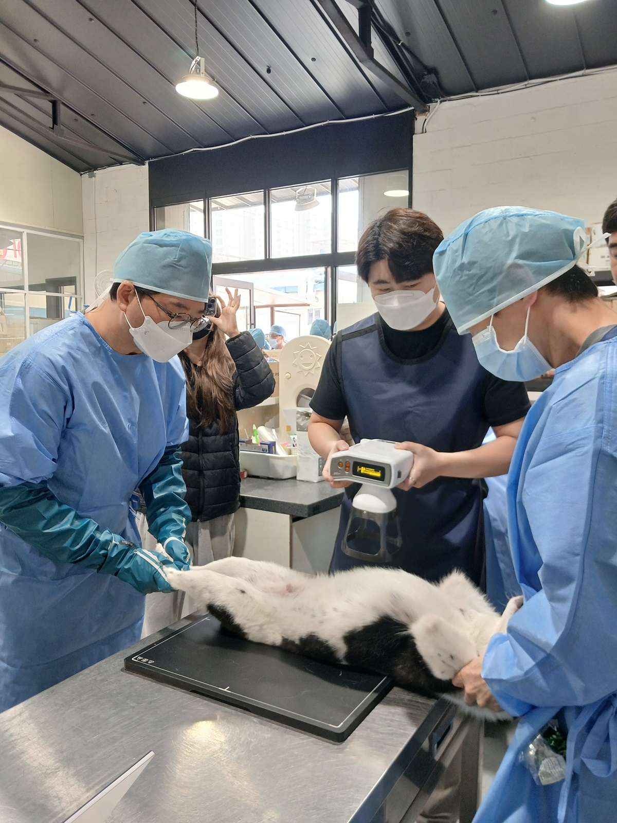 경기도, 상반기 민간시설 보호동물 717마리에 ‘찾아가는 진료 지원’ 완료