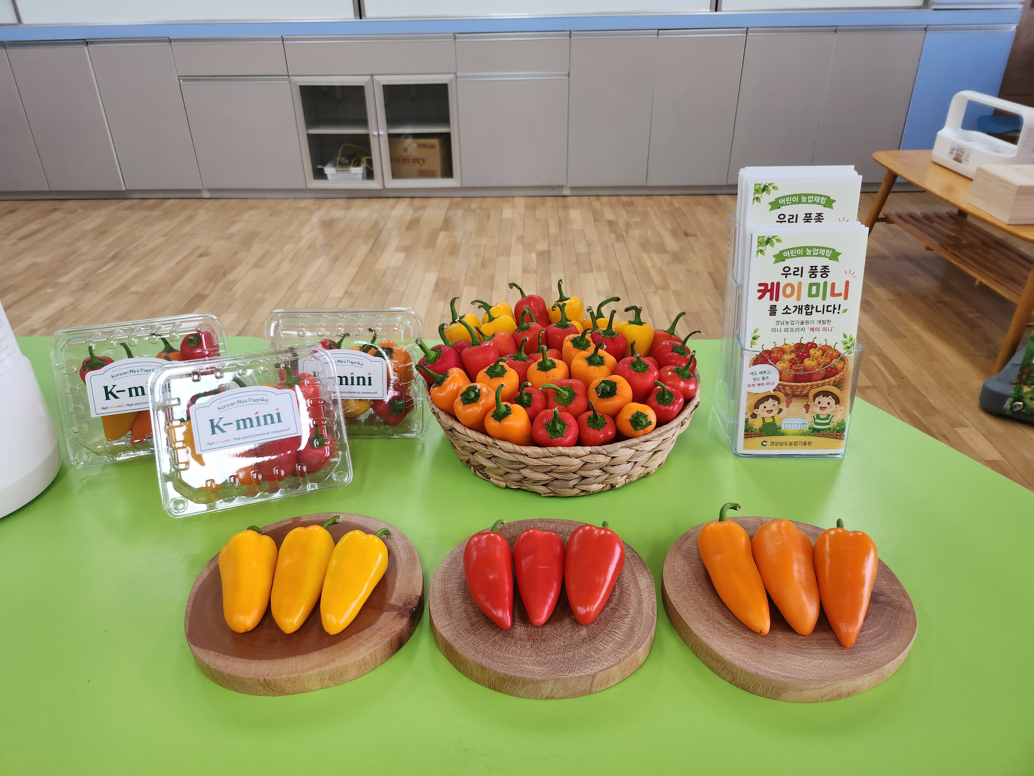 경남 미니파프리카 ‘K-mini’, 어린이 농업 체험으로 미래세대 만난다