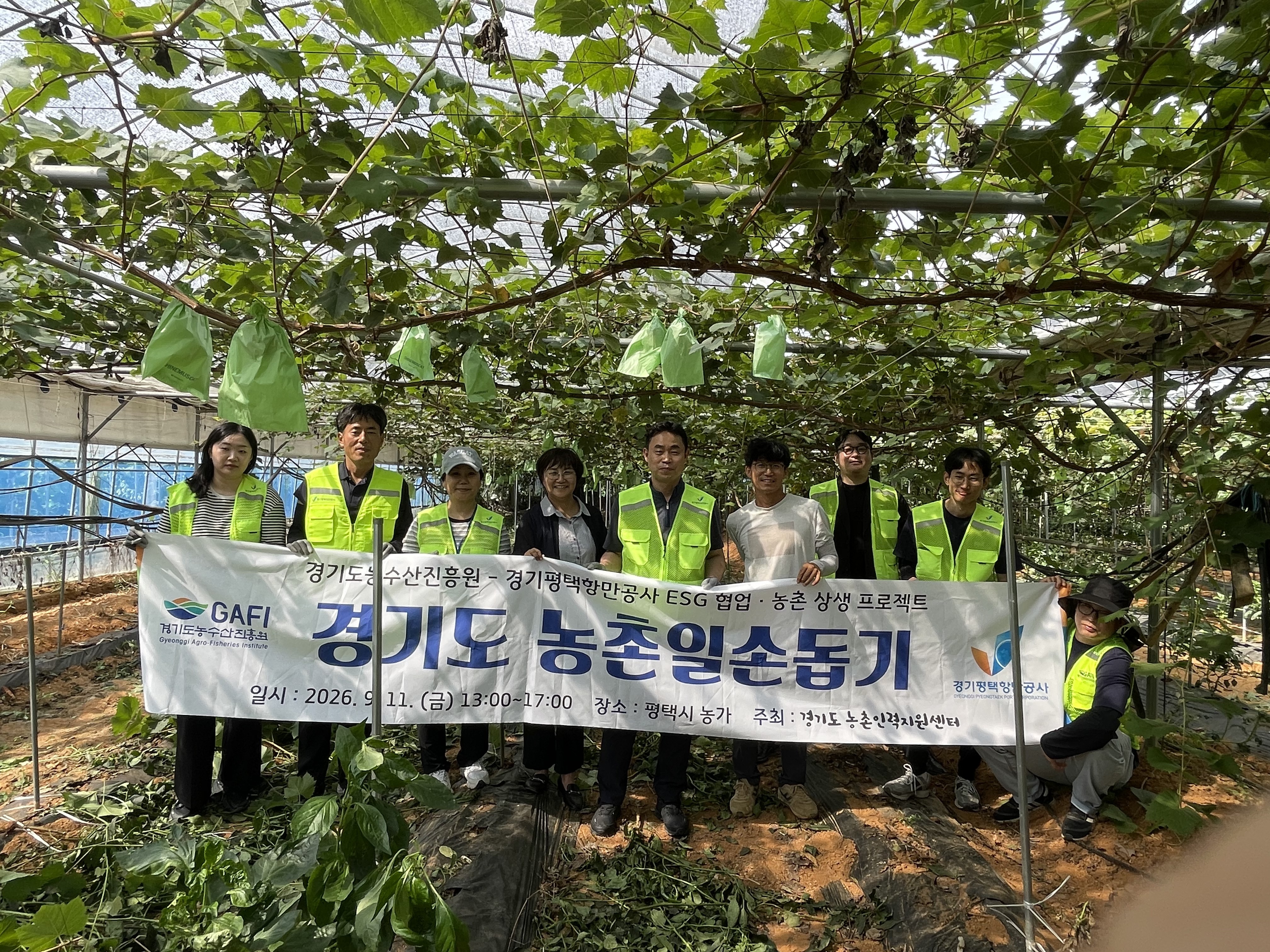 경기평택항만공사, 평택 농가 찾아 가을철 일손 돕기