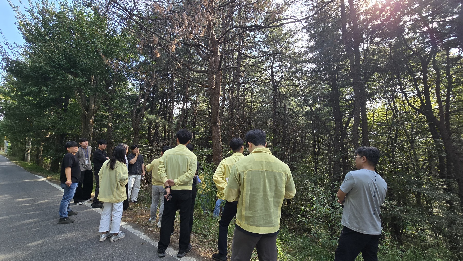 오산시 소나무재선충병 발생… 경기도, 긴급방제대책회의 열어 총력 대응